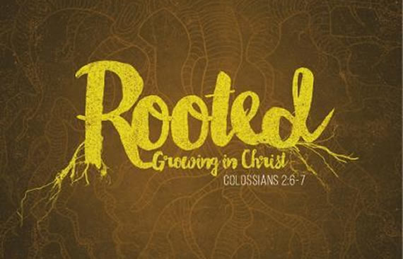 Rooted