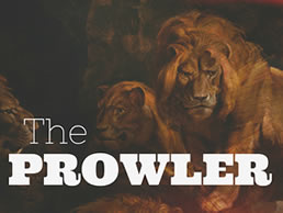 The Prowler