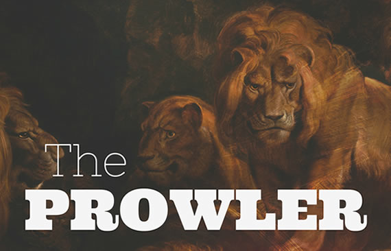 The Prowler